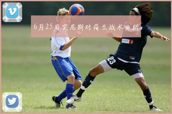 6月25日突尼斯对荷兰战术分析