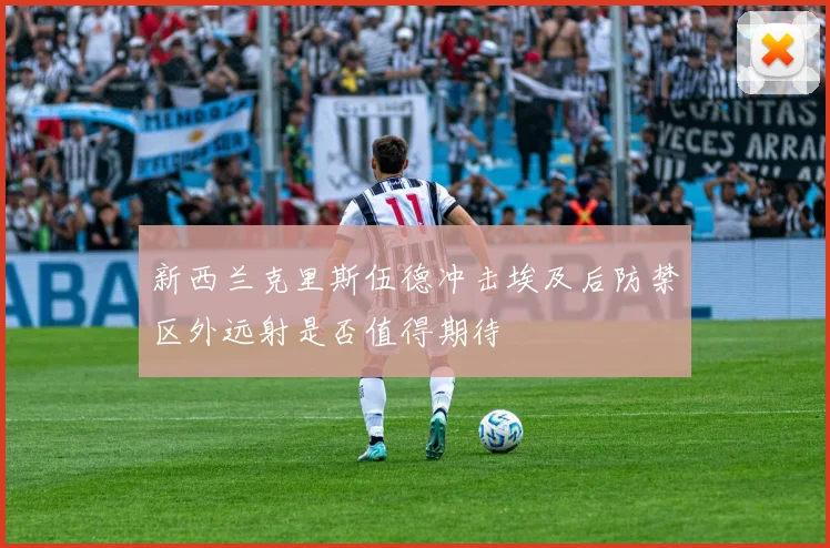 新西兰克里斯伍德冲击埃及后防禁区外远射是否值得期待