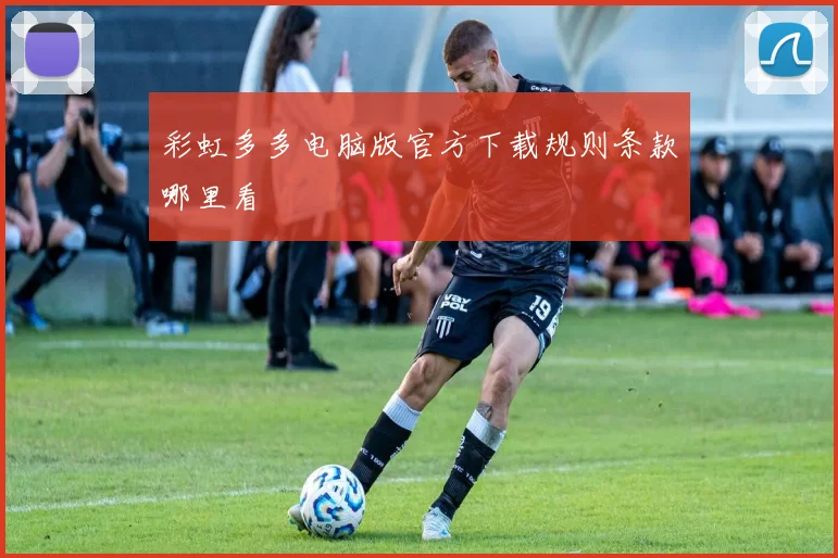 彩虹多多电脑版官方下载规则条款哪里看
