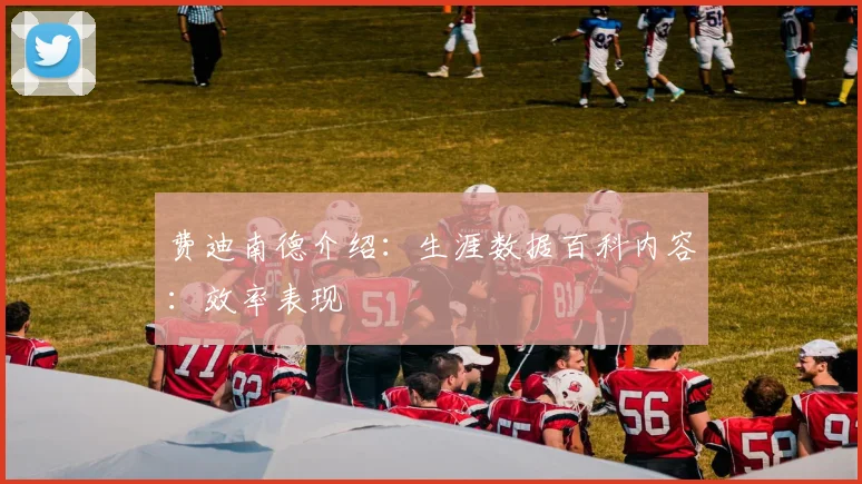 费迪南德介绍：生涯数据百科内容：效率表现