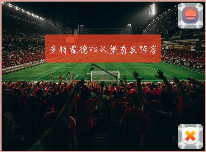 多特蒙德vs汉堡首发阵容